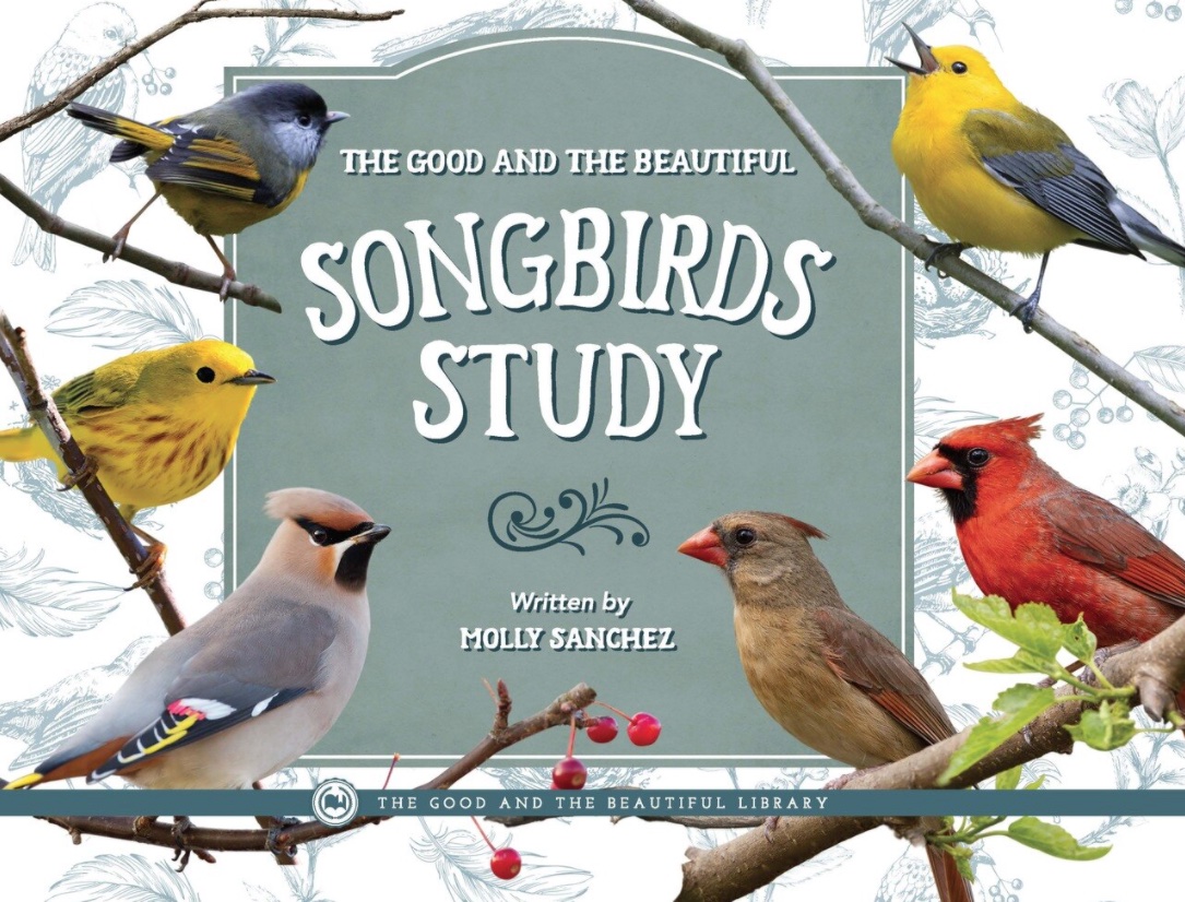 The Good and the Beautiful Songbirds Study