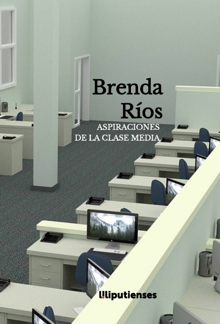 Aspiraciones de la clase media