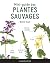 Mini-guide des plantes sauvages by Michel Viard