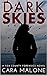 Dark Skies (Fox County Forensics, #3)