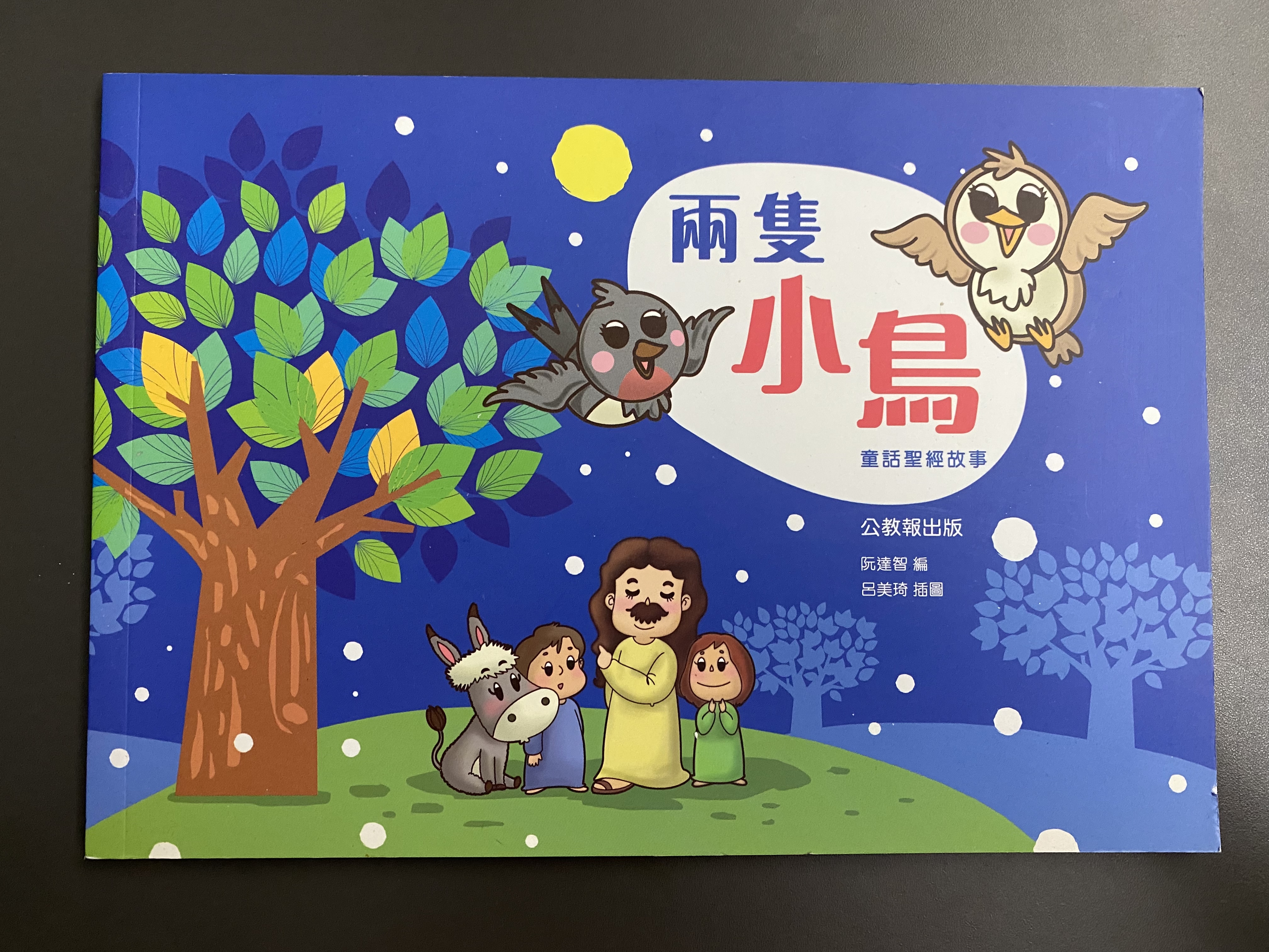 兩隻小鳥 (Paperback)