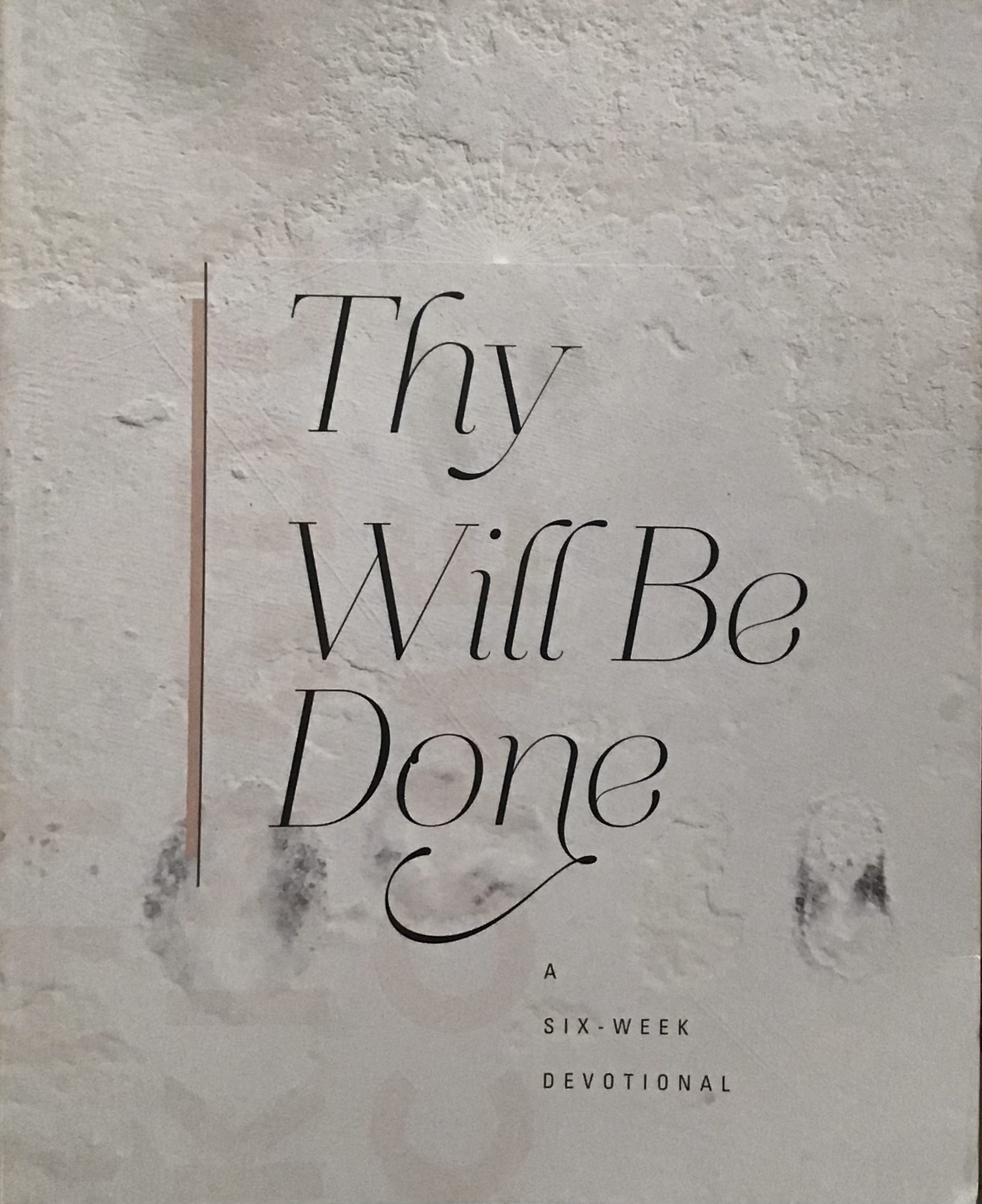 Thy Will Be Done (Paperback)