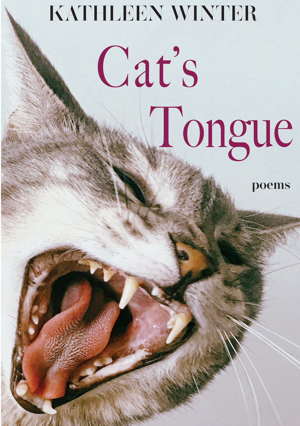 Cat's Tongue: Poems (Volume 13) (The TRP Chapbook Series)