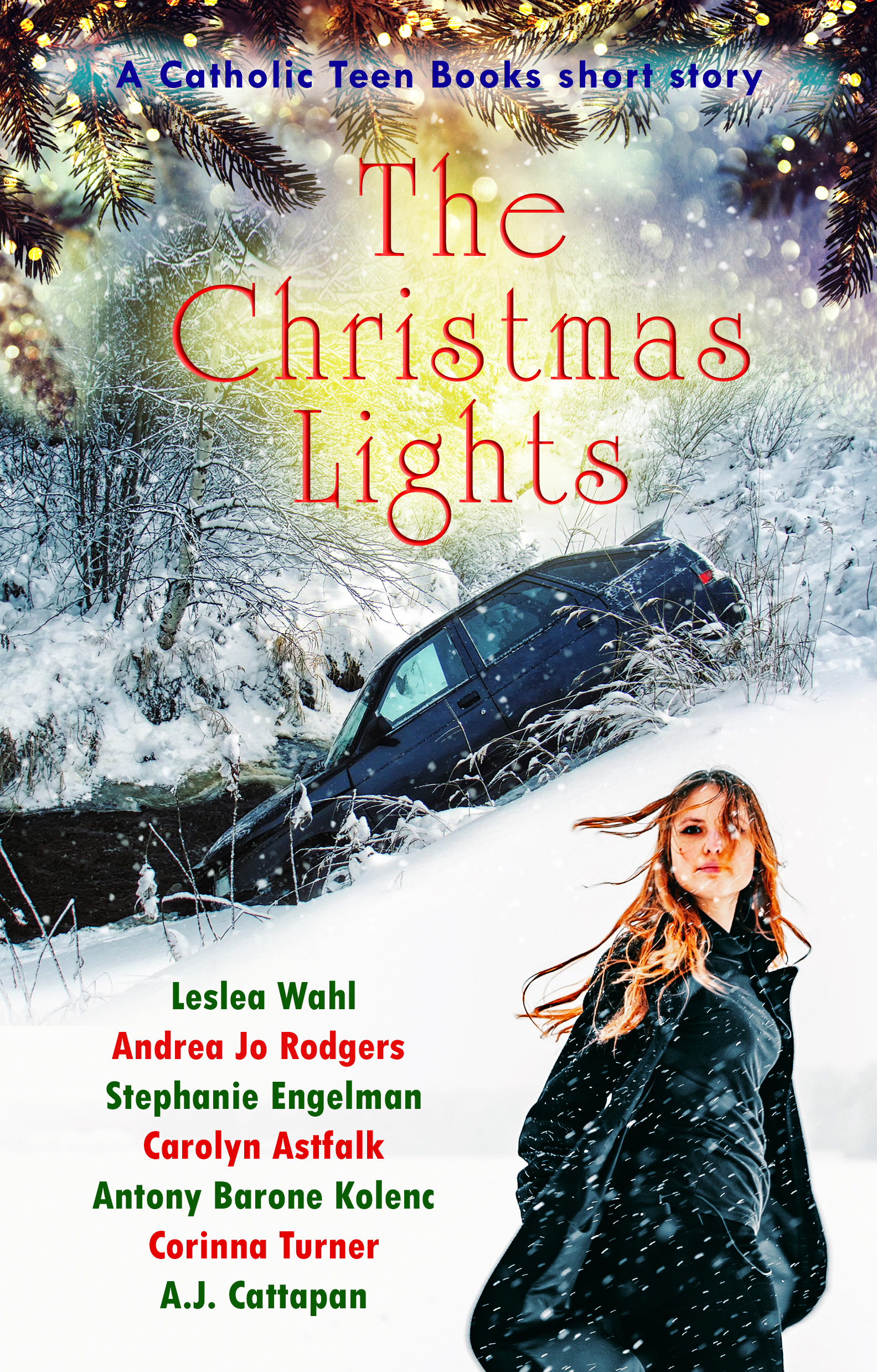 The Christmas Lights