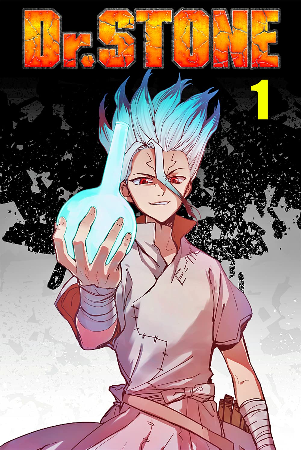 Flash Of Green Light: Doctor Stone - Manga - Dr.Stone - vol1 (Kindle Edition)