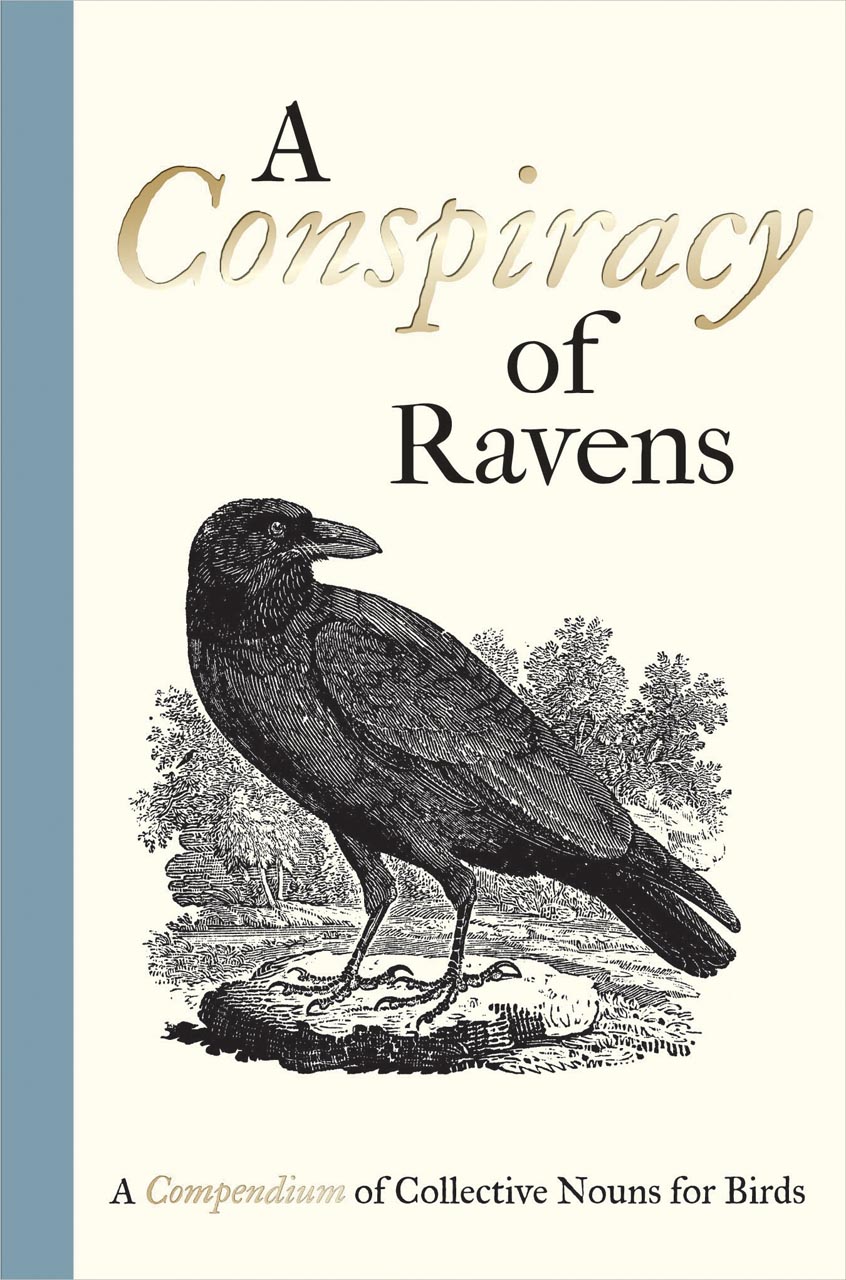 A Conspiracy of Ravens: A Compendium of Collective Nouns for Birds (Hardcover)