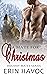 A Mate For Christmas by Erin Havoc
