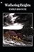 Wuthering Heights Illustrated