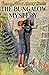 The Bungalow Mystery by Carolyn Keene
