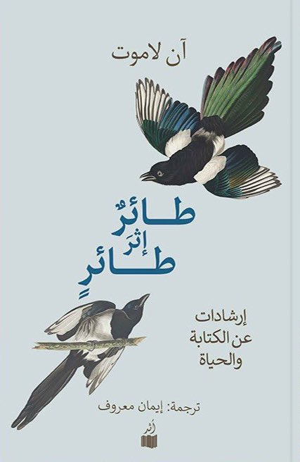 طائر إثر طائر: إرشادات عن الكتابة والحياة