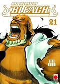Bleach, vol. 21