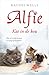 Alfie, kat in de kou by Rachel  Wells
