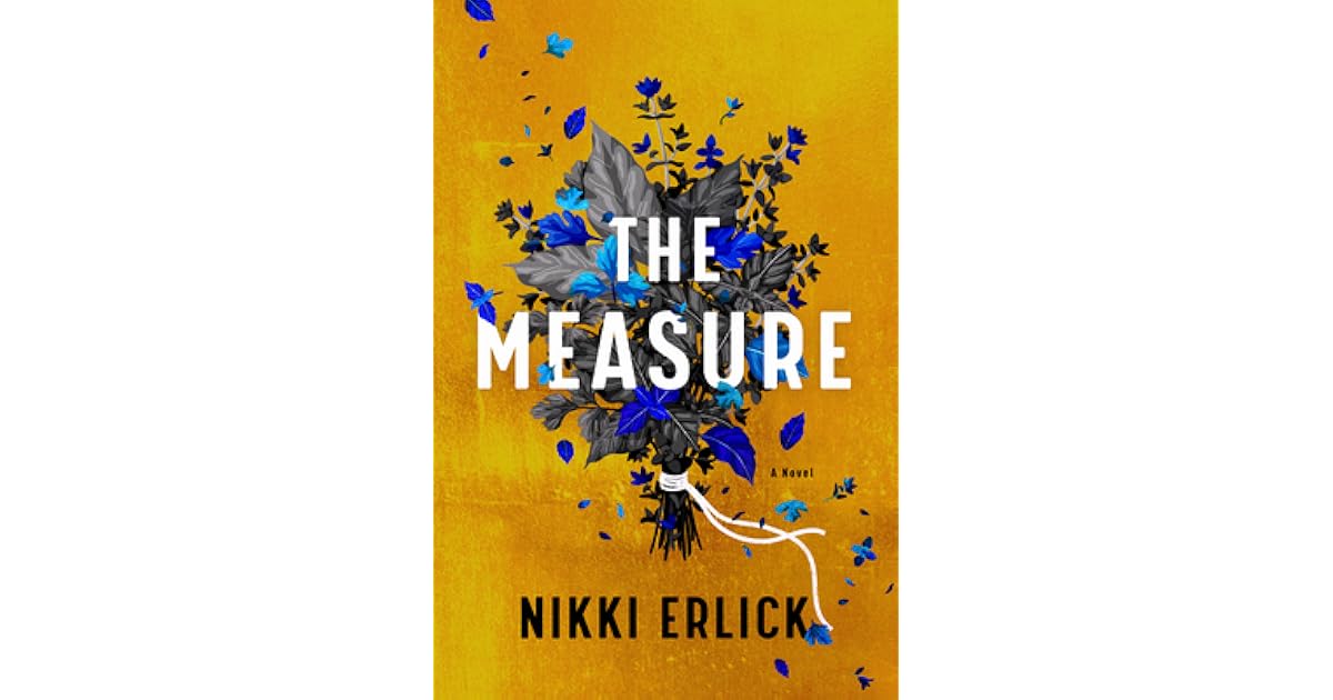 The Measure by Nikki Erlick