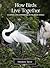 How Birds Live Together Colonies and Communities in the Avian World by Marianne Taylor