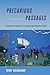 Precarious Passages: The Diasporic Imagination in Contemporary Black Anglophone Fiction
