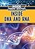 Inside DNA and Rna