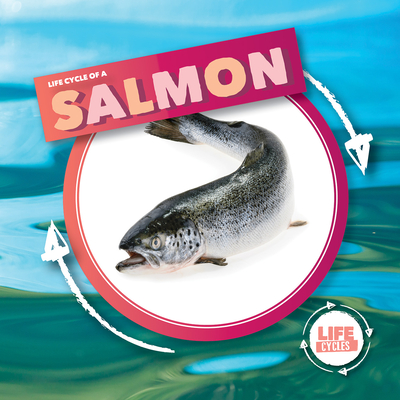 Life Cycle of Salmon (Life Cycles)