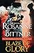 Blaze of Glory by Rosanne Bittner