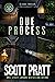 Due Process (Joe Dillard, #9)