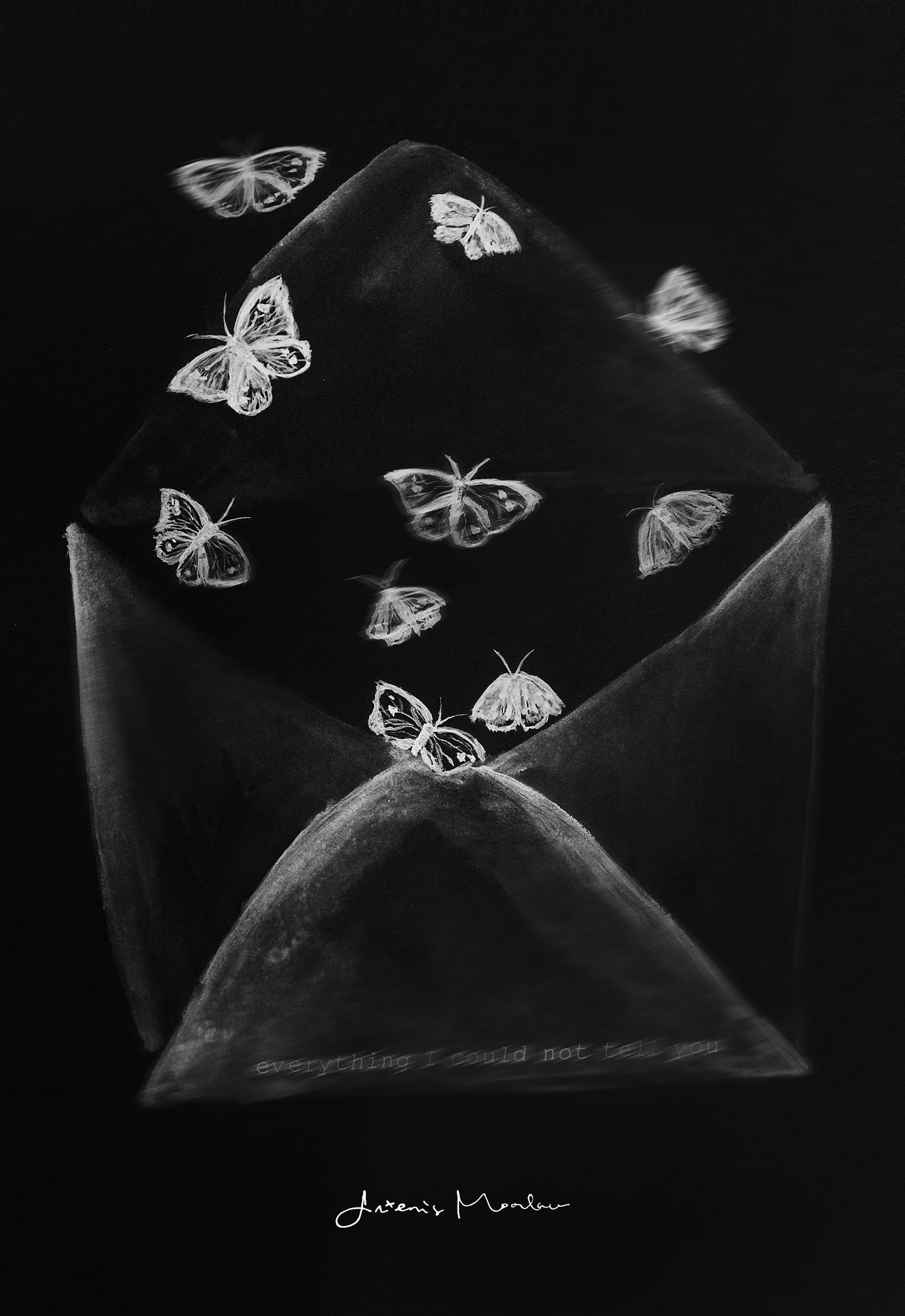 everything I could not tell you (Paperback)