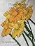 Flower Garden: Adult Colori...