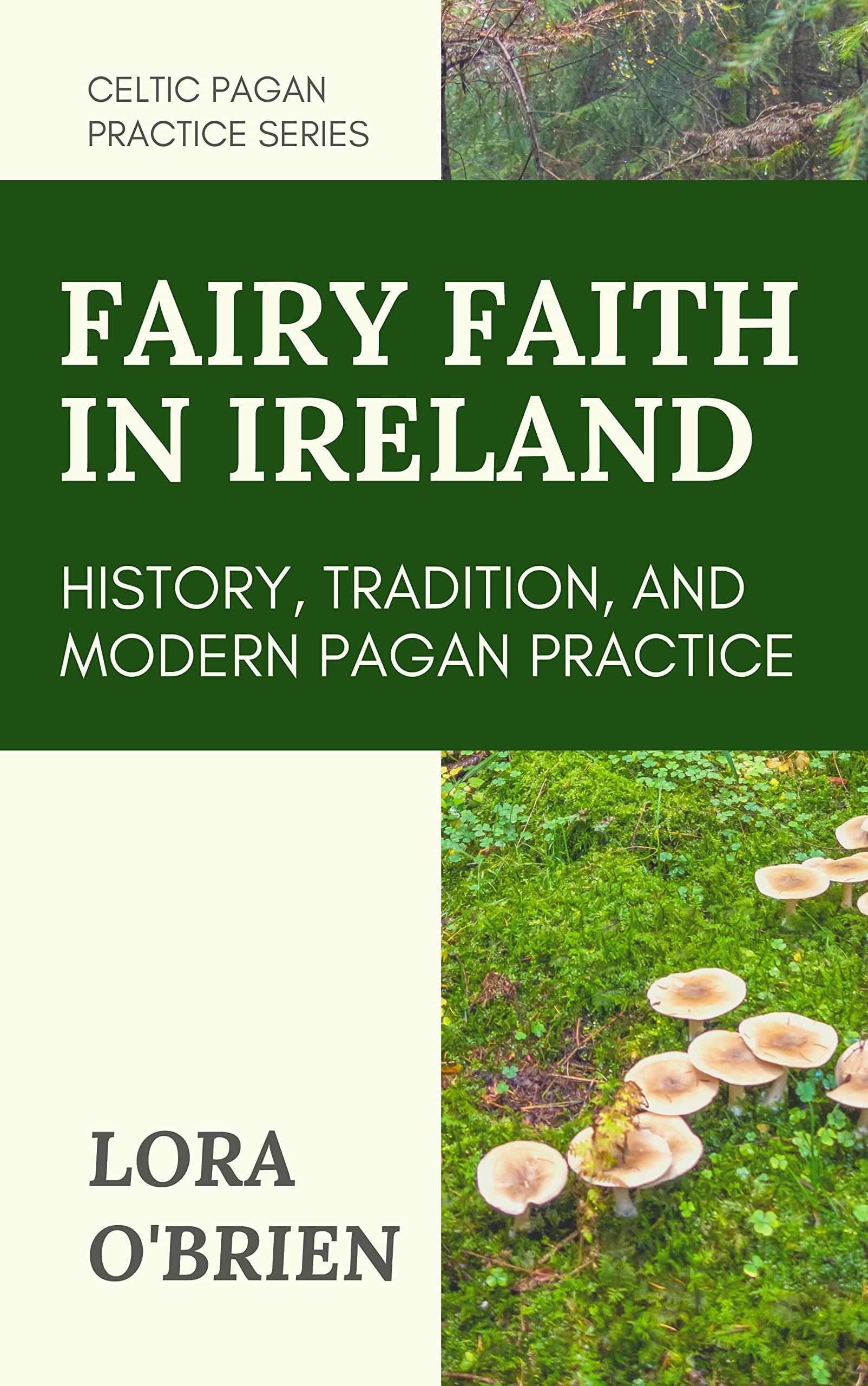 The Fairy Faith in Ireland: History, Tradition, and Modern Pagan Practice (Celtic Pagan Practice)