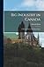 Big Industry in Canada: A Marxian Survey by Edward Davis