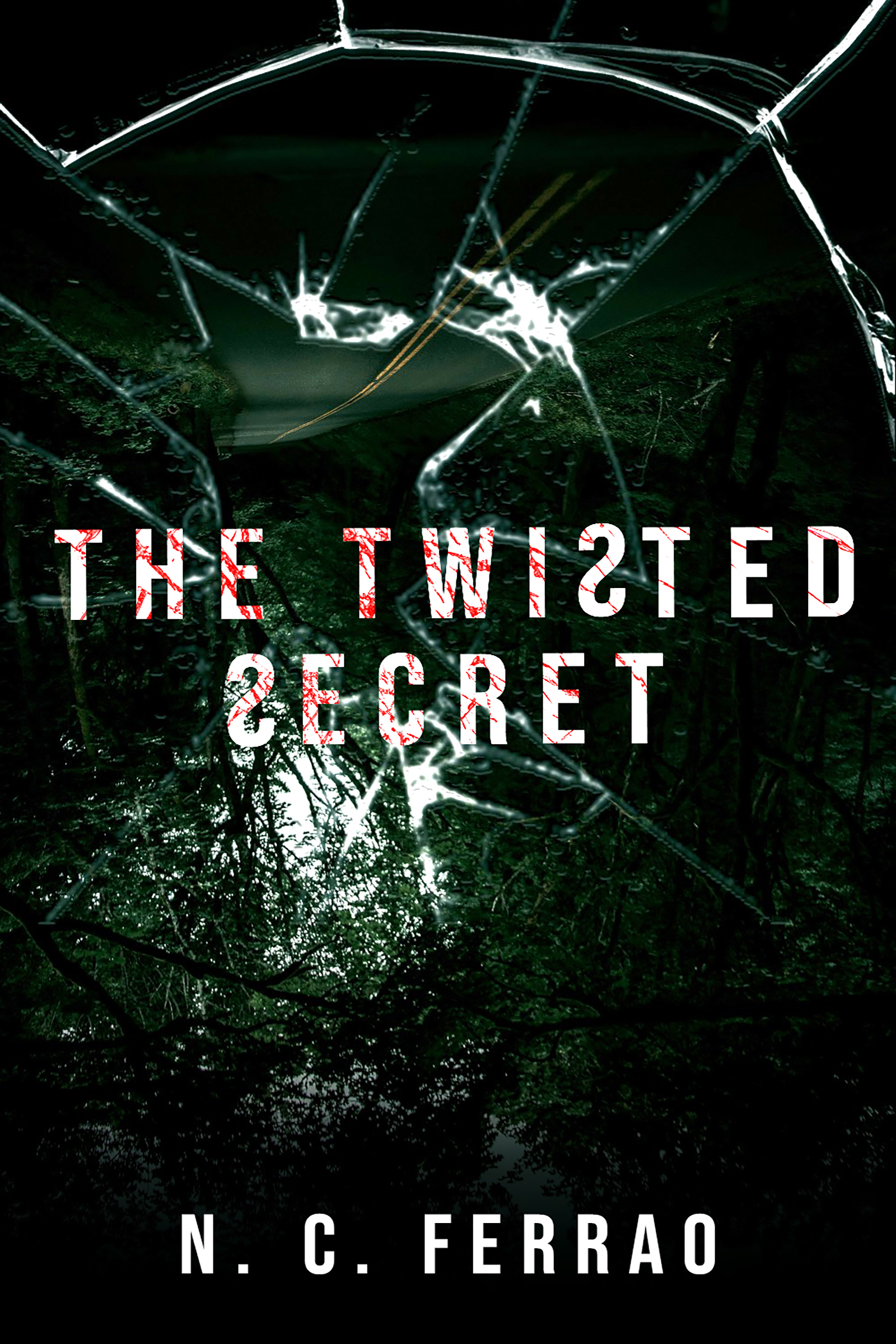 The Twisted Secret (Paperback)