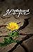 Anthology of Hope by Vince Font