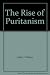 The Rise of Puritanism
