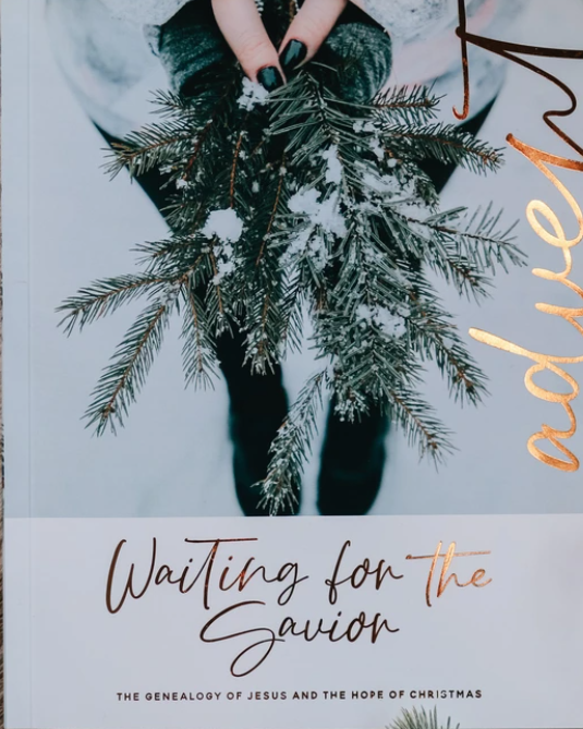 Waiting for the Savior - Advent Study (Paperback)