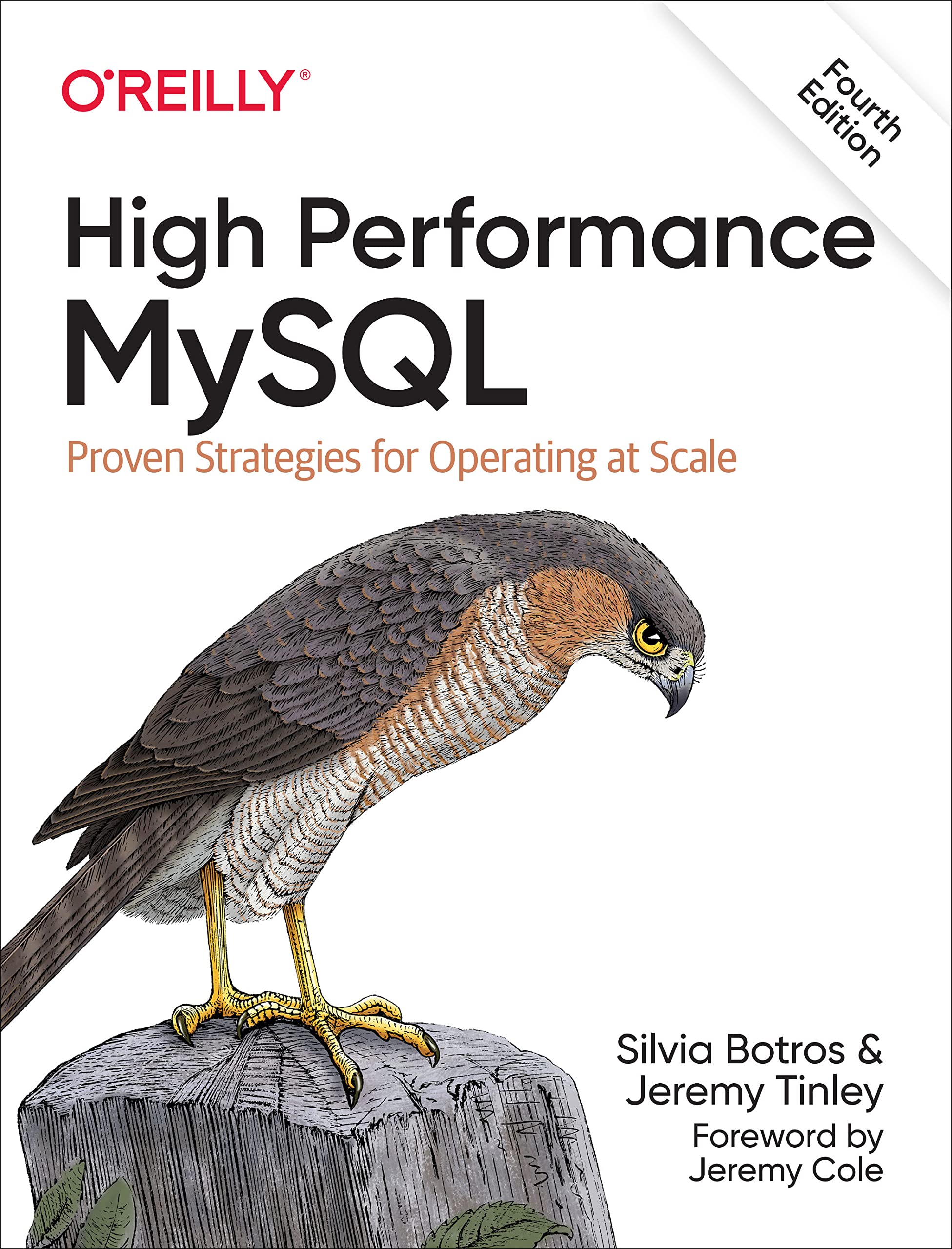 High Performance MySQL: Proven Strategies for Operating at Scale (Kindle Edition)