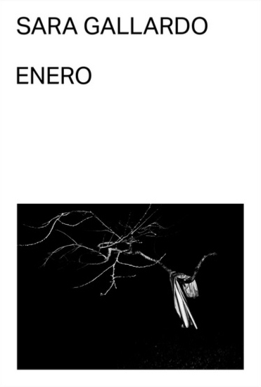 Portada de Enero, de Sara Gallardo