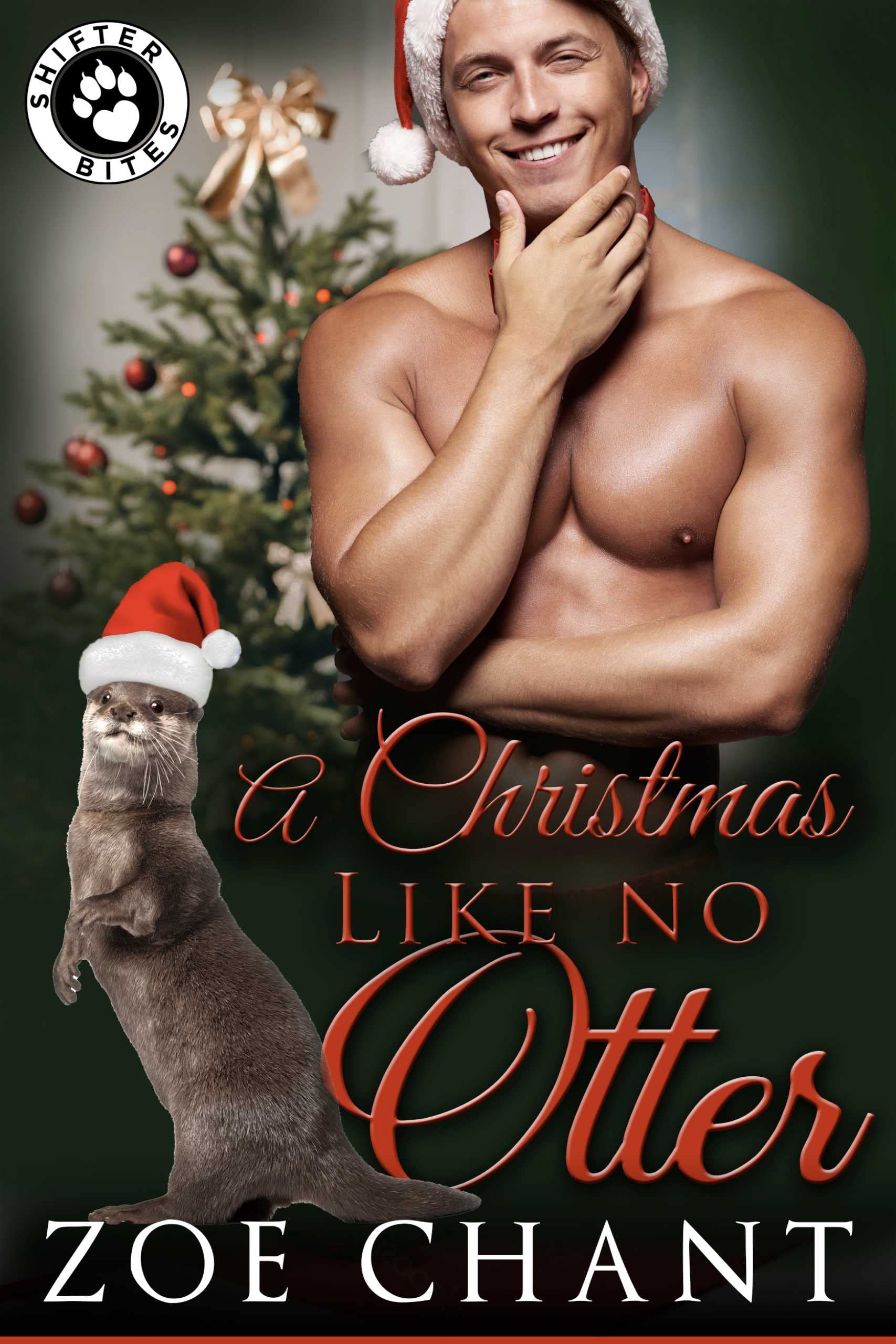 A Christmas Like No Otter (Virtue Shifters, #4)