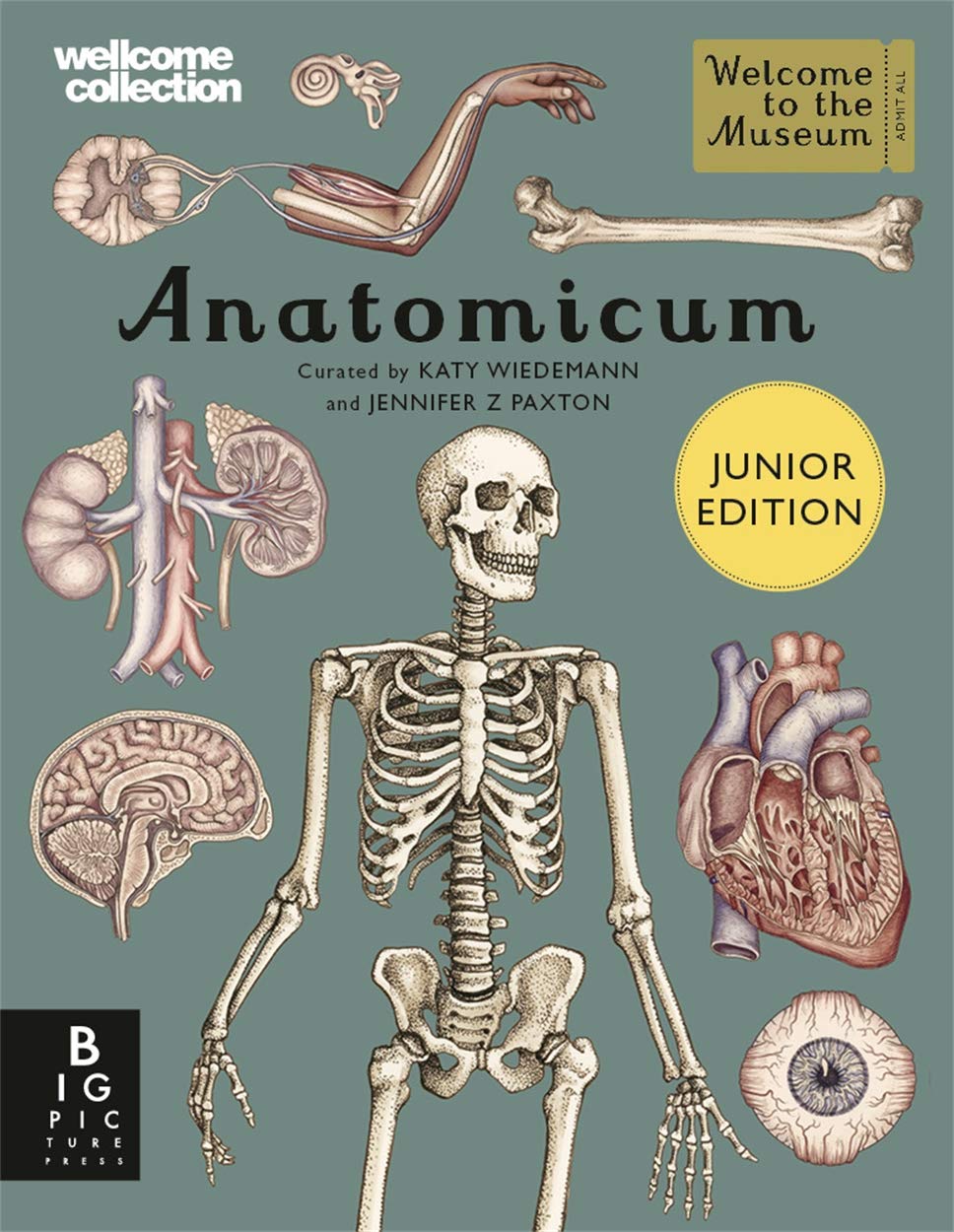 Anatomicum Junior (Welcome To The Museum)