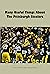 Many Useful Things About The Pittsburgh Steelers by BROWN WILTON