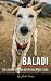 Baladi: The Journey of an Egyptian Street Dog