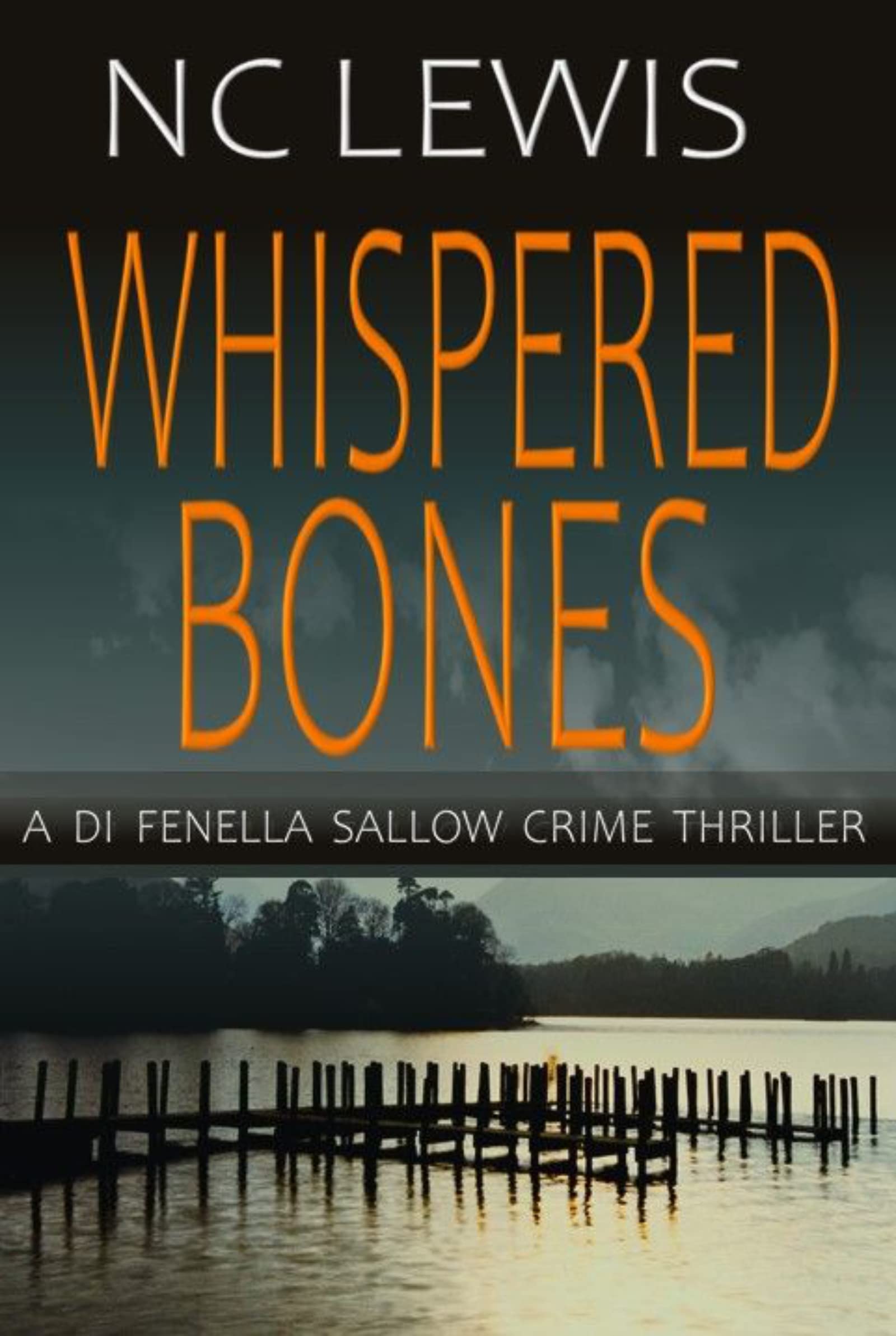 Whispered Bones (DI Fenella Sallow, #2)