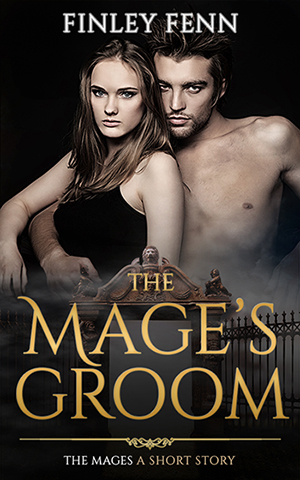 The Mage's Groom (The Mages, #1.5)