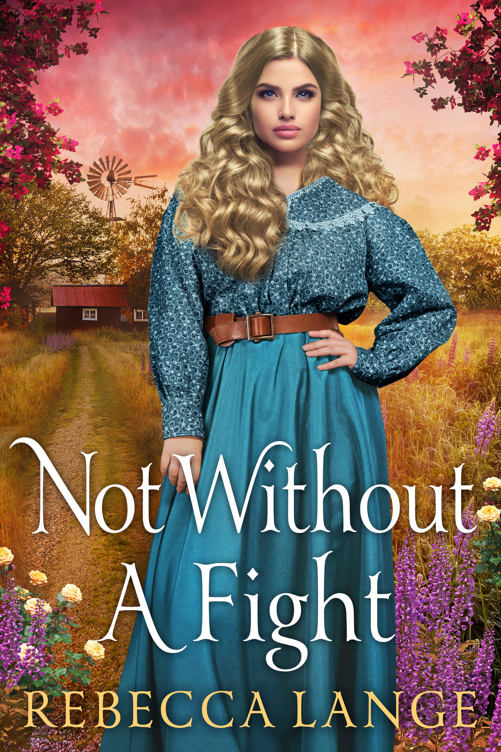 Not Without A Fight (Paperback)