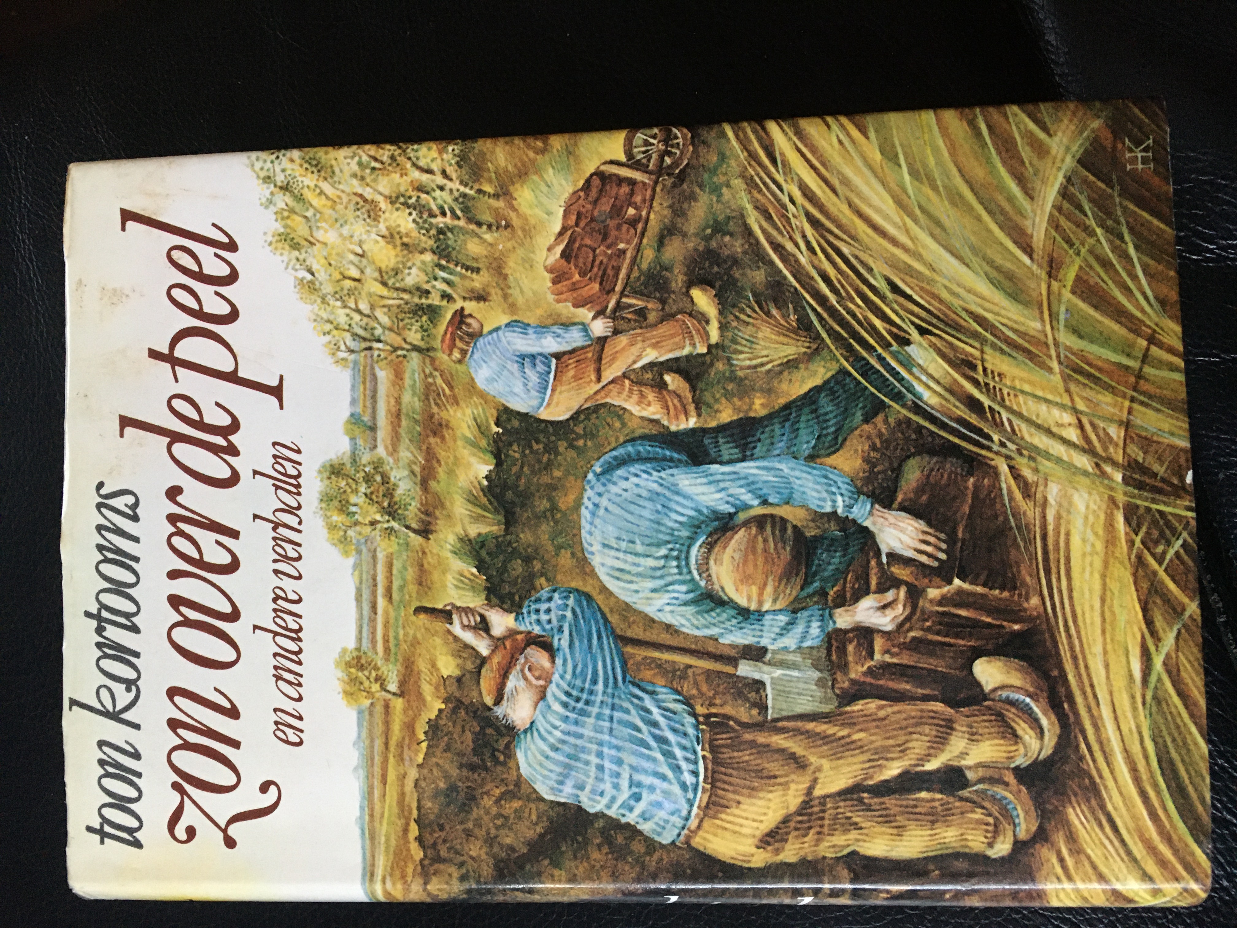 Zon over de Peel (Hardcover)