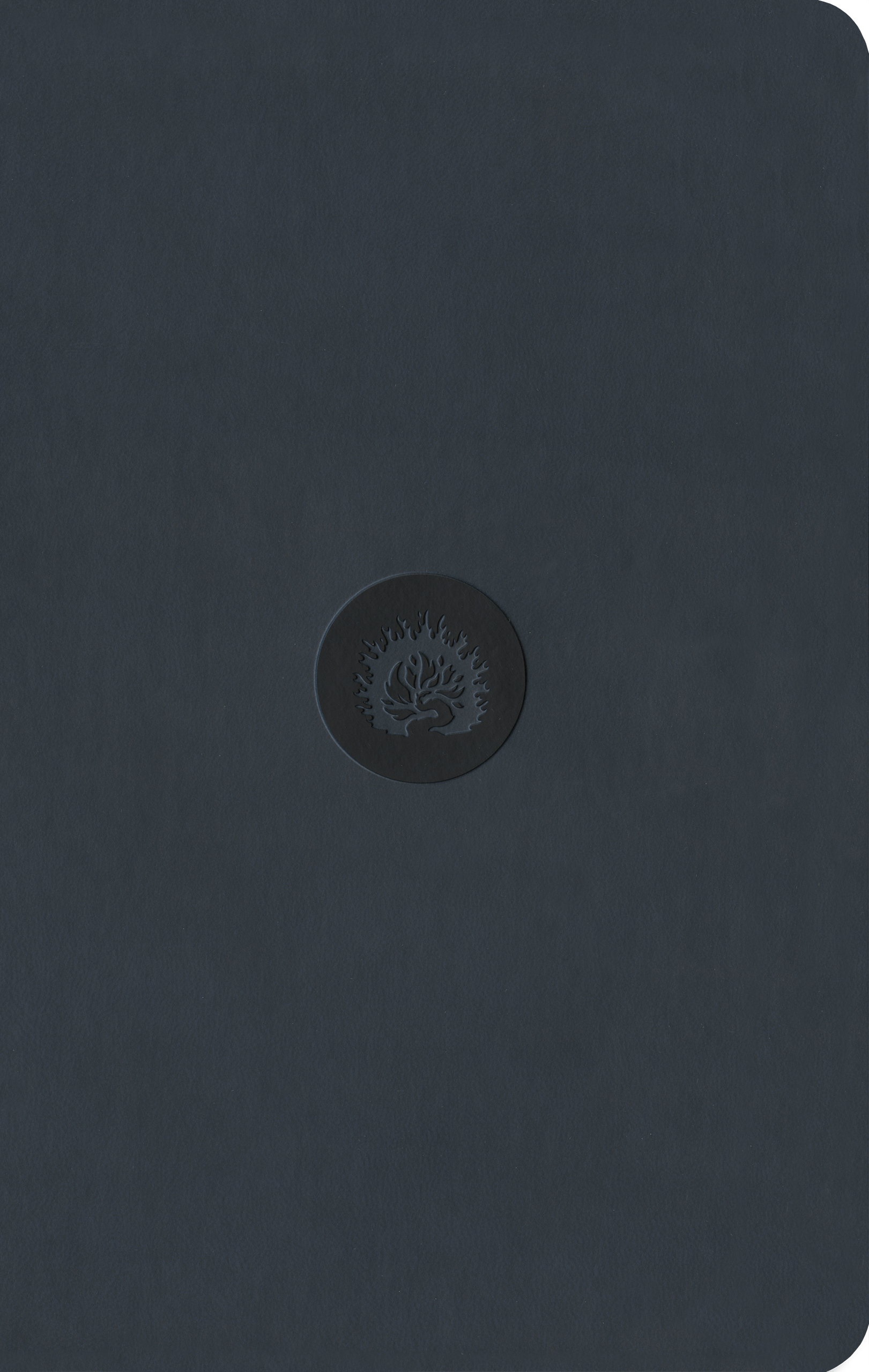 ESV Reformation Study Bible, Student Edition - Navy, Leather-Like