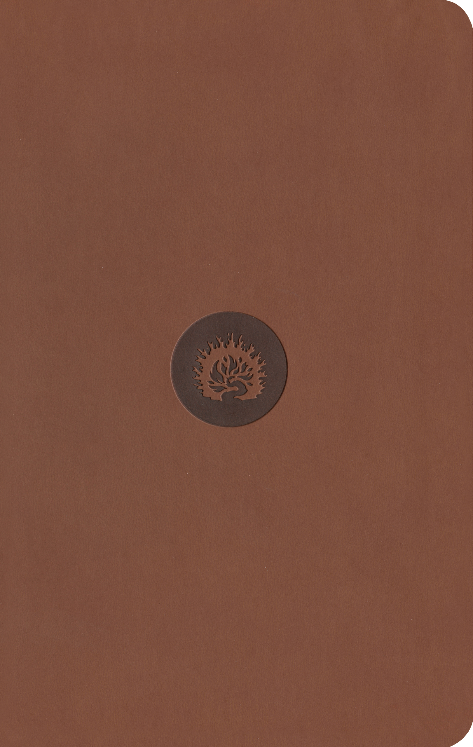 ESV Reformation Study Bible, Student Edition - Brown, Leather-Like