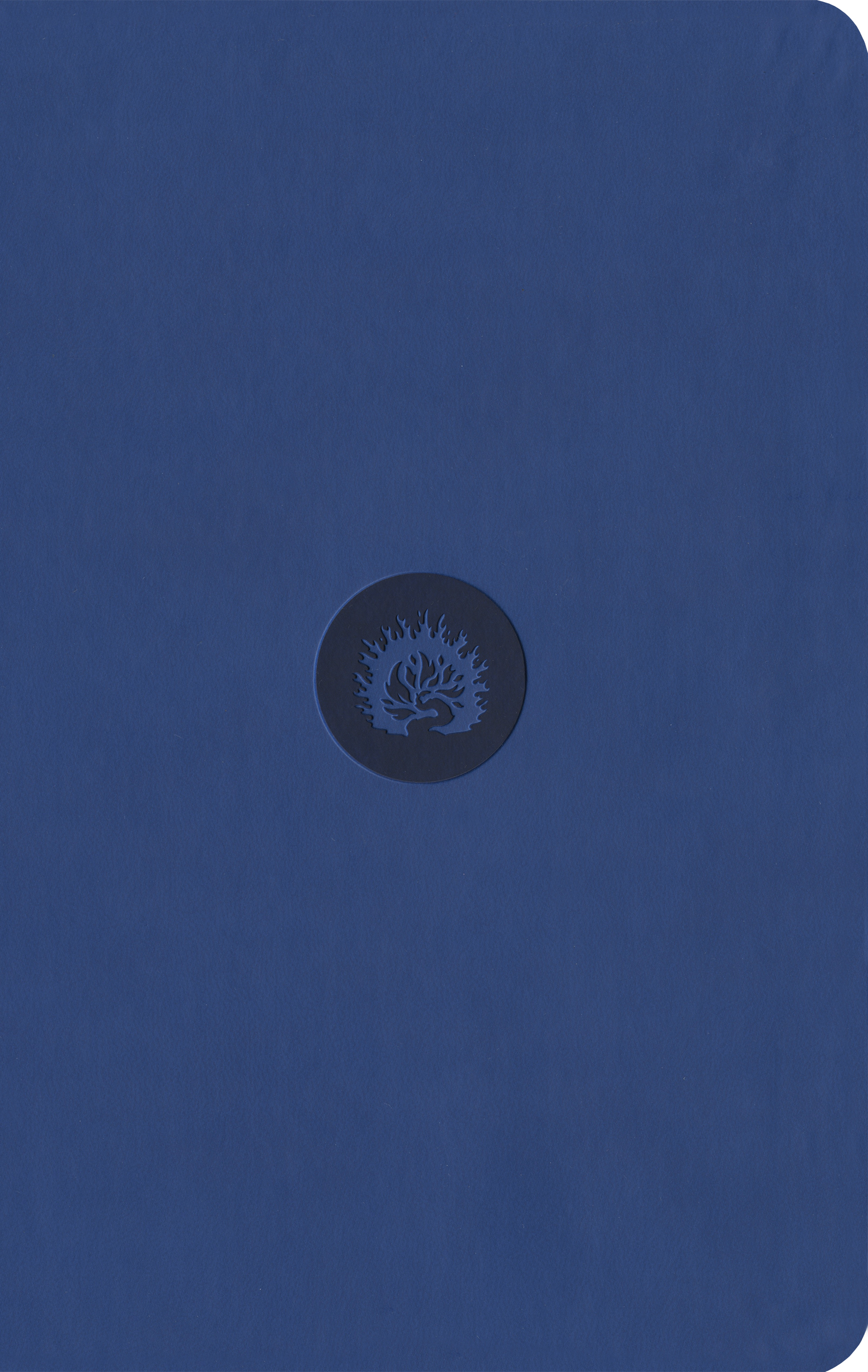 ESV Reformation Study Bible, Student Edition - Blue, Leather-Like