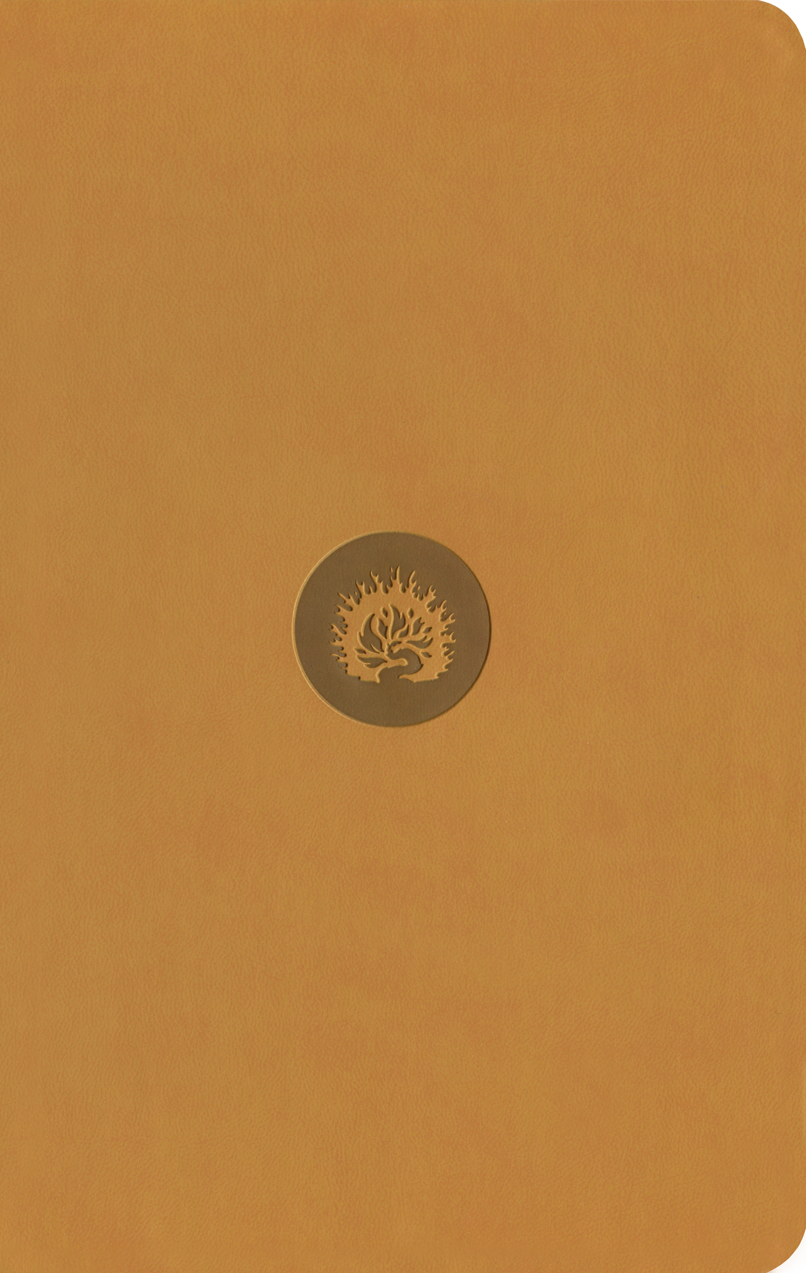 ESV Reformation Study Bible, Student Edition - Marigold, Leather-Like