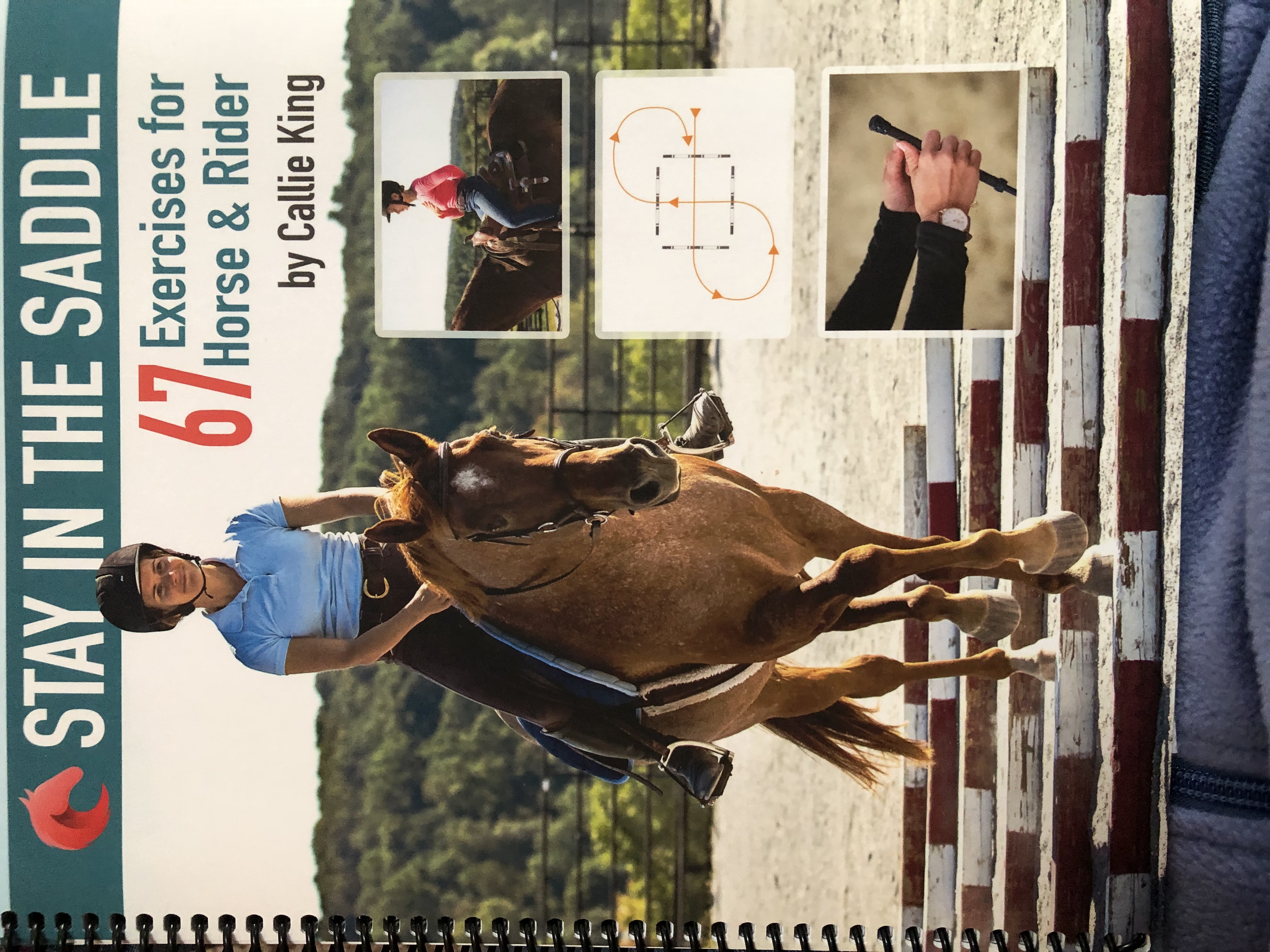 Stay in the Saddle (Spiral-bound)