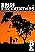Brief Encounters Issue #7 by Adek Series