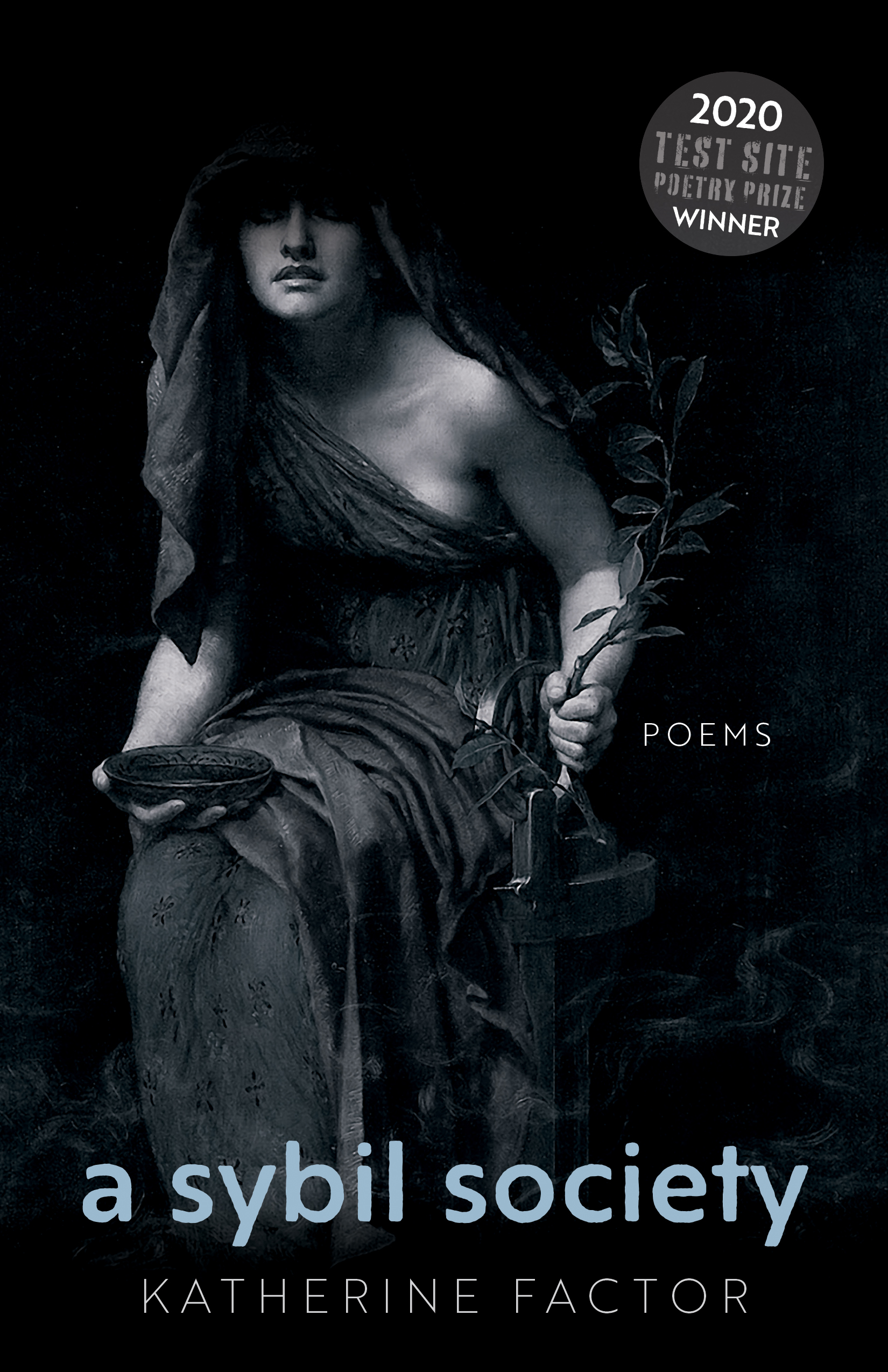 A Sybil Society: Poems (Test Site Poetry Series)