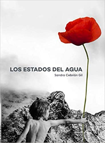 Los estados del agua (Paperback)