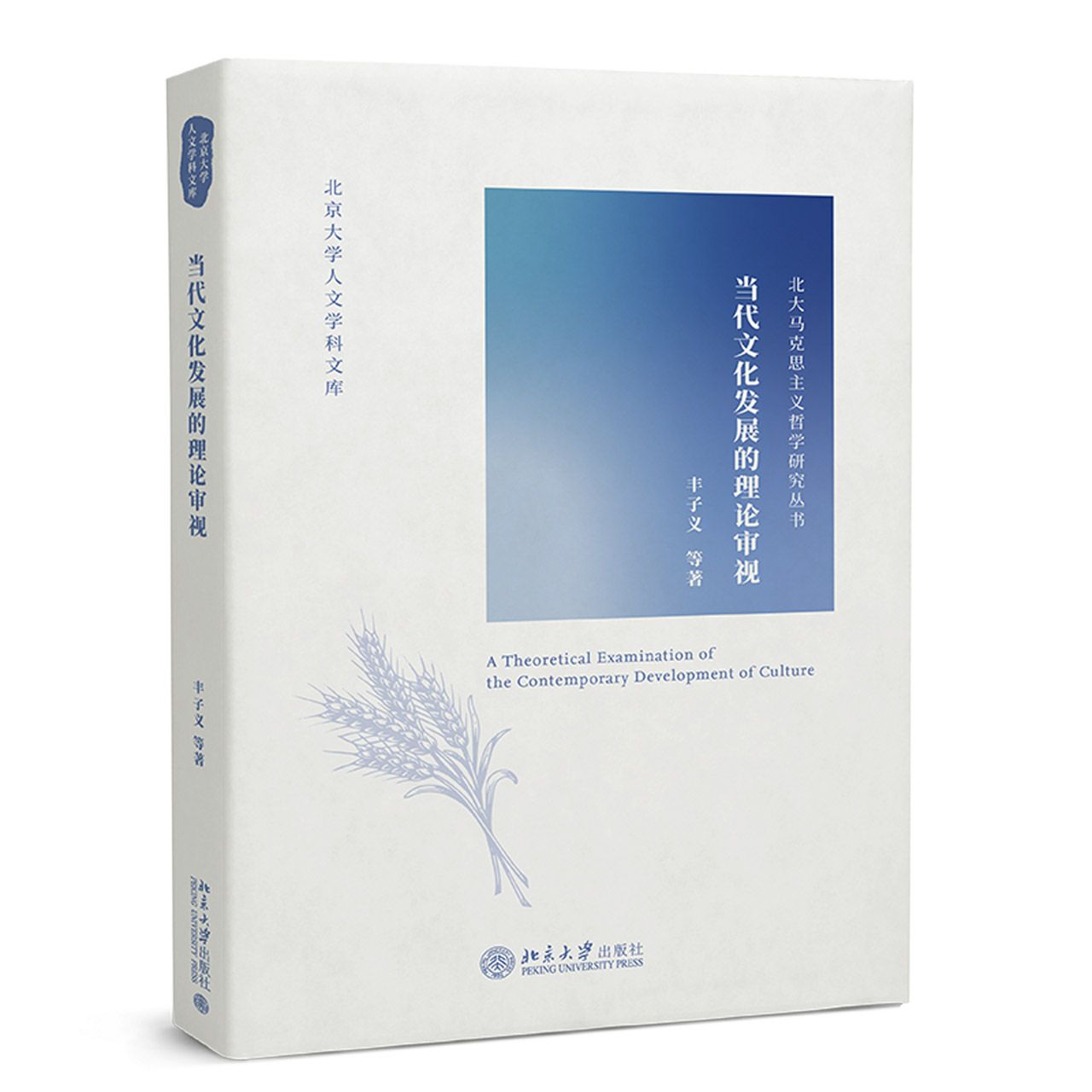 当代文化发展的理论审视/北大马克思主义哲学研究丛书/北京大学人文学科文库